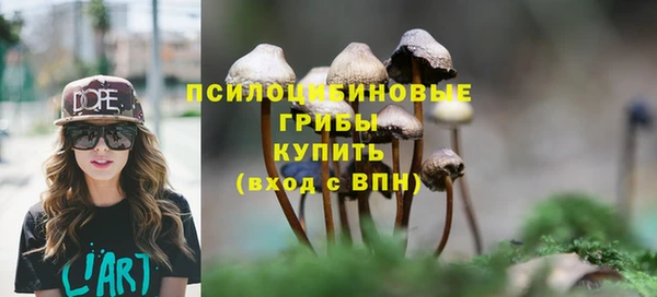 хмурый Богданович