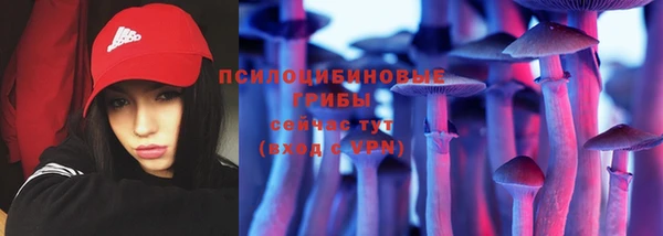ешки Белокуриха