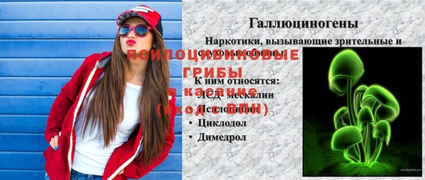 хмурый Богданович