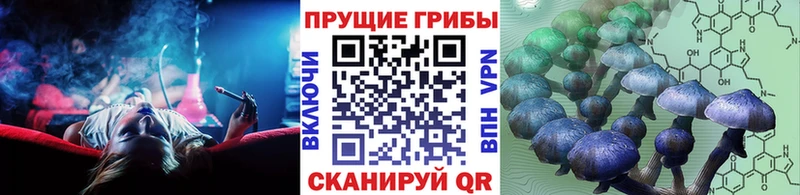 Галлюциногенные грибы Magic Shrooms  мега ССЫЛКА  Вилючинск 